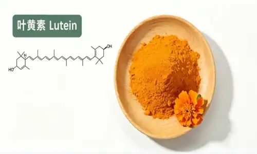 Why Is Marigold Extract Powder the Top Lutein Source Globally?